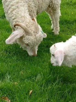 Mother with  kid